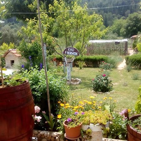 Apartman Rosa Apartment Skradin Exterior photo