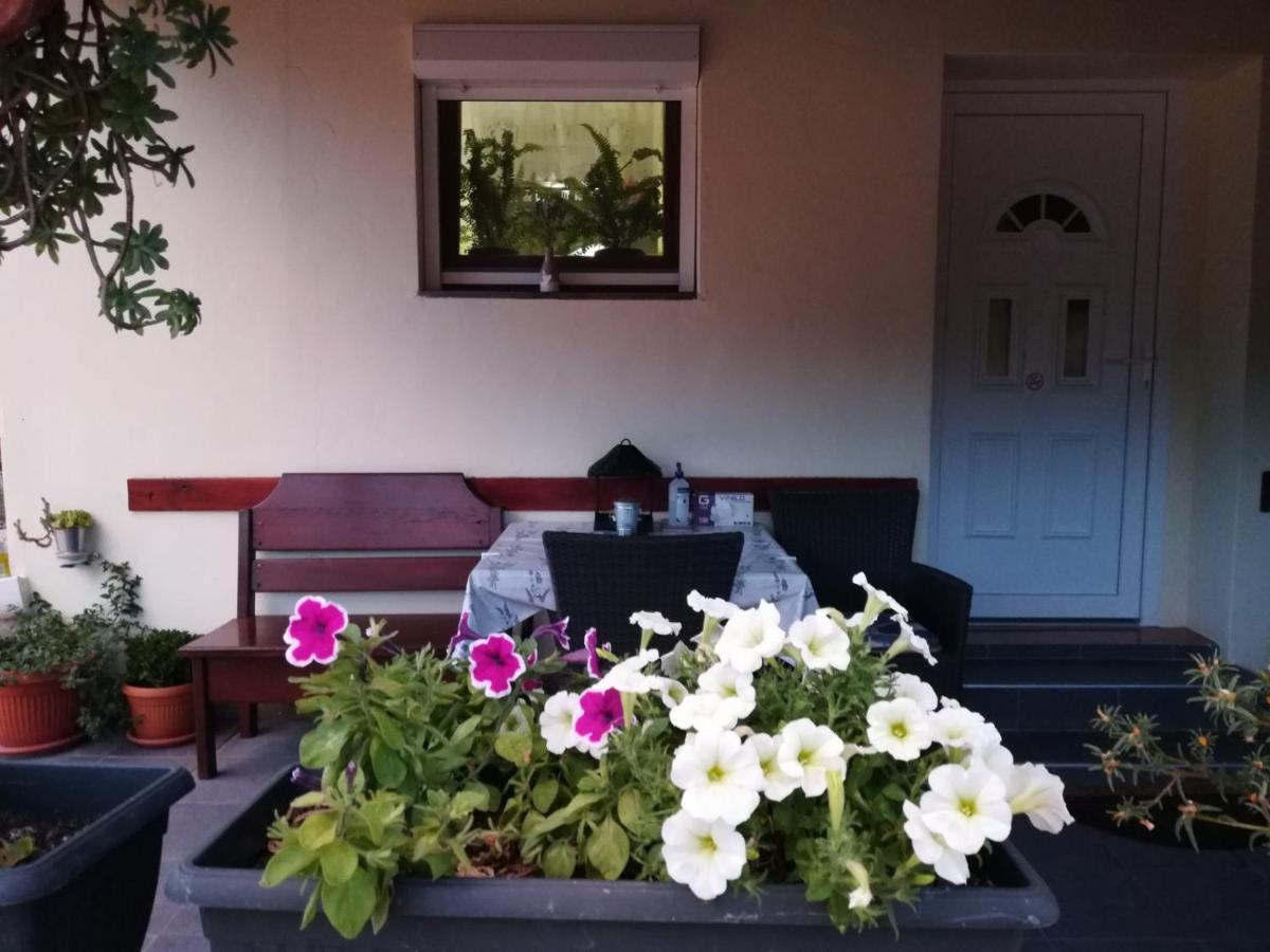 Apartman Rosa Apartment Skradin Exterior photo