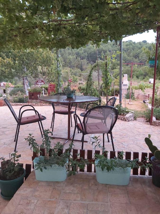 Apartman Rosa Apartment Skradin Exterior photo