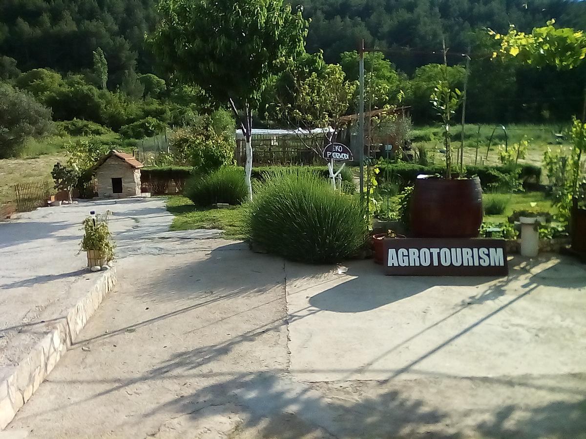 Apartman Rosa Apartment Skradin Exterior photo