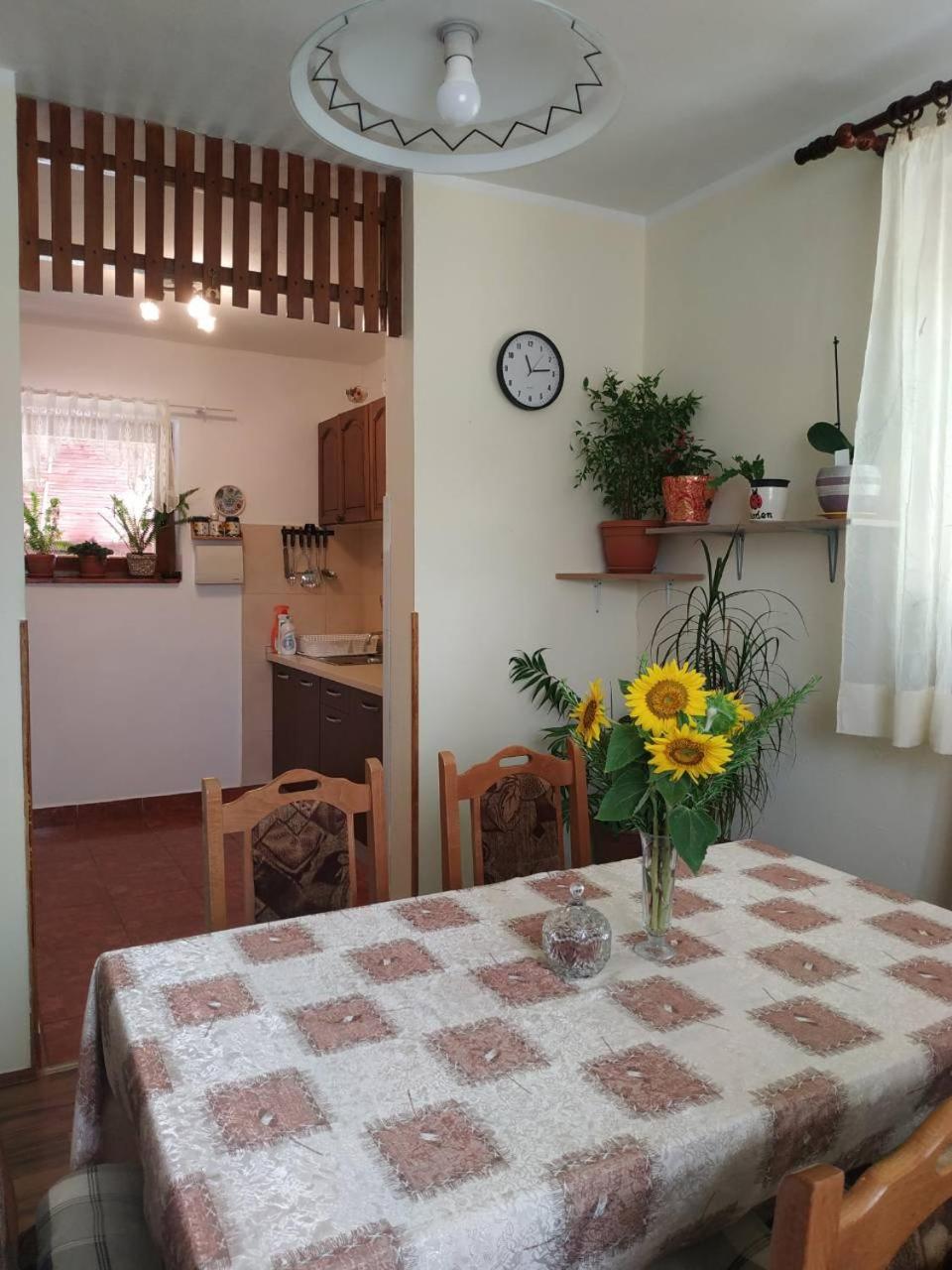 Apartman Rosa Apartment Skradin Exterior photo